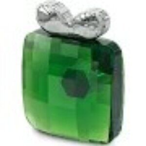 COPY - Swarovski Holiday Cheers Green Present Magnet - New in Box